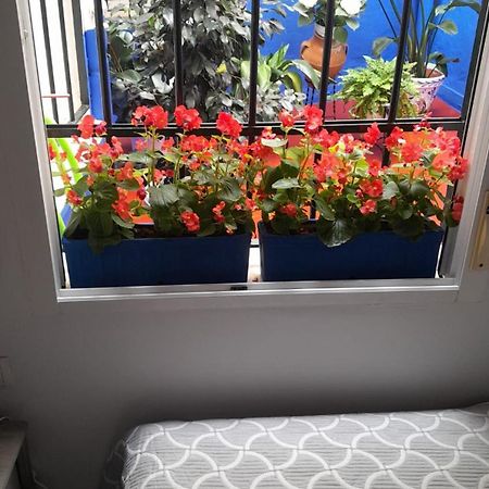 Puerta Sevilla Parking Gratis 科爾多瓦 外观 照片